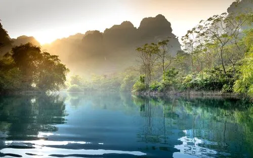 自动化高性能高端